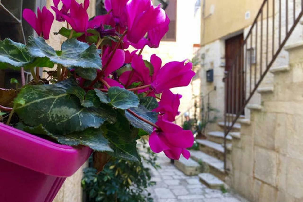 ジョヴィナッツォ Nel Borgo Anticoヴィラ エクステリア 写真